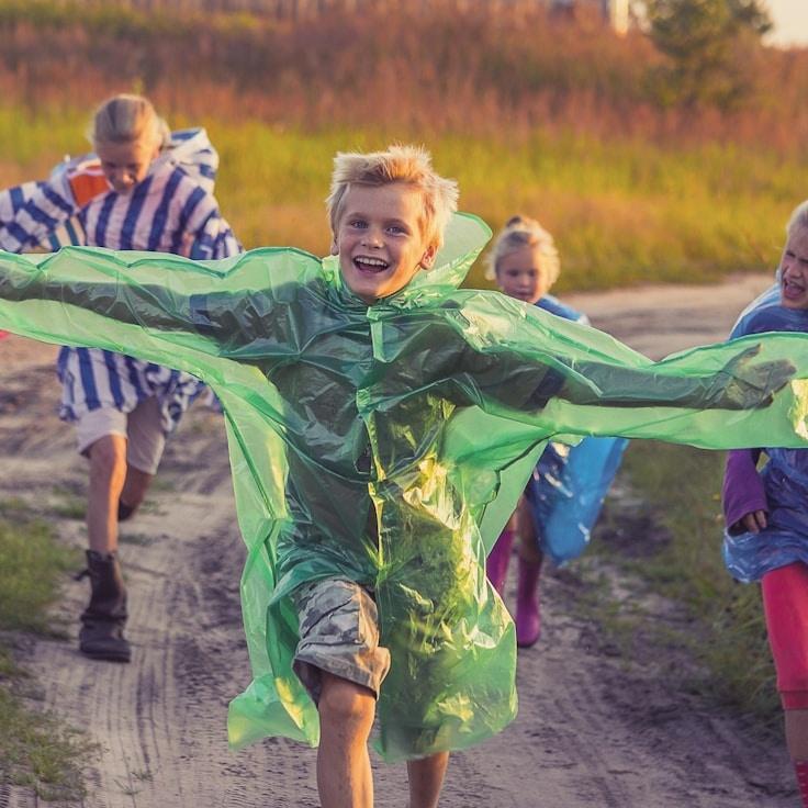 Aisha Rao, Lead Design Curator at GlimmerPineHarbor, reviewing corporate floral arrangements